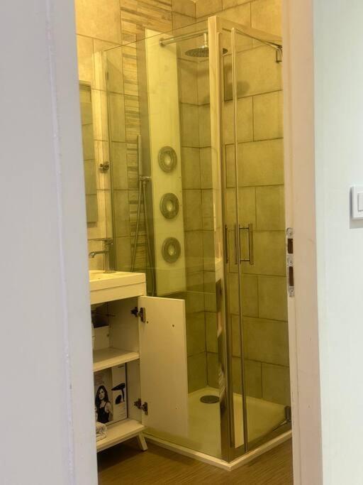 Christelle Apartment Romilly sur Seine Bagian luar foto